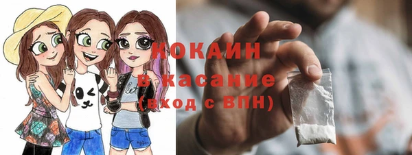гидра Алексин