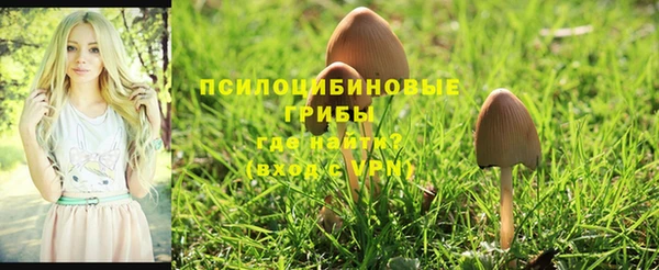 героин Алзамай