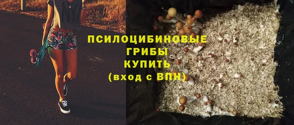 гидра Алексин