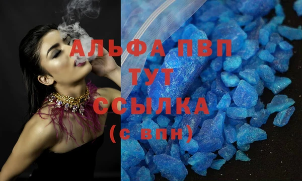 гидра Алексин