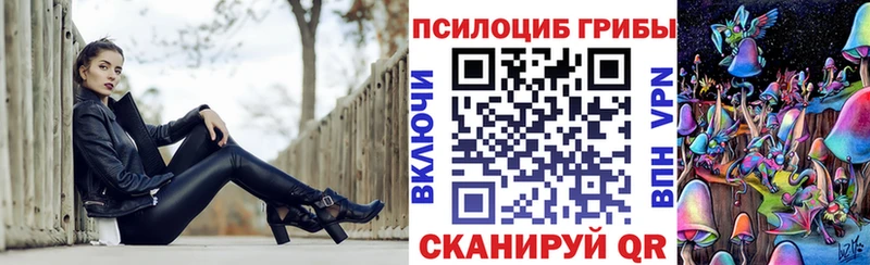 сайты даркнета какой сайт Борзя Галлюциногенные грибы Psilocybe